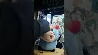 Ganyu Cocogoat Cursed Plushie (AKA Quaso) Headpat