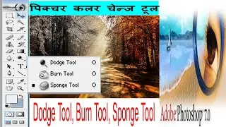 Dodge tool Burn tool Sponge tool in Photoshop