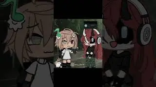 🐱 