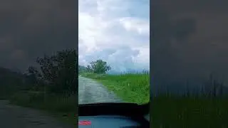 i love mountain  beautiful place #shortvideo#viral #snowbear #viralvideo