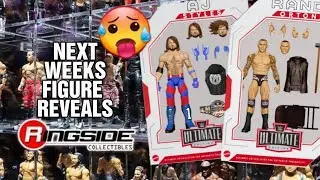 NEXT WEEKS WWE ACTION FIGURE REVEALS