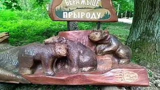 Едем купаться на озеро Свитязь.
