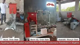Floating fish feed pellet machine from different customers Feedback in Nigeria #fishfeedmachine