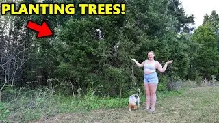 We Planted GIANT Trees on Our NEW PROPERTY! *you're welcome squirrels*