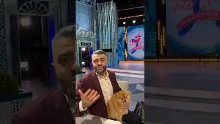 Выдаем Лолиту замуж 