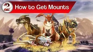 Guild Wars 2: How to Get Mounts | Where to Get the Jackal, Skimmer, Springer & Raptor Guide