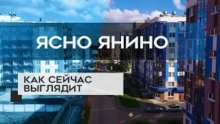 ЖК ЯСНО ЯНИНО : как сейчас выглядит новостройка в СПб (13.10.20)