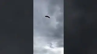 7 июня 2020 г.