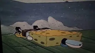 7/25/05