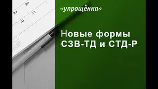 Новые формы СЗВ-ТД и СТД-Р: ответы на все вопросы от экспертов