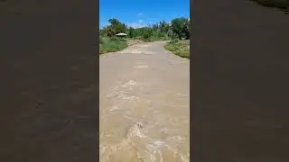 Chocolate Uncompahgre River #montrosecolorado #rain #riverbottom
