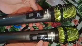 Rayhayes Wireless Microphone | Quick Review!
