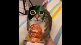 Давай давай, в микрофон поори, но это гачи