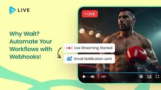 Automate Your Workflows: Discover Muvi Live's Webhooks Feature!