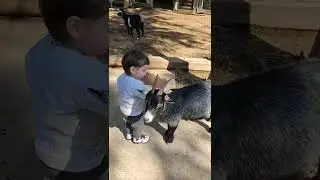 Живой уголок в Ган Гуру