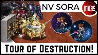 💥NEO VISION SORA TOUR OF DESTRUCTION 💥 Kinda insane NGL... | FFBE