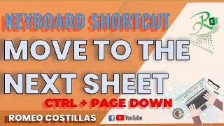Excel Move to the Next Sheet (Ctrl + Pg Down)  