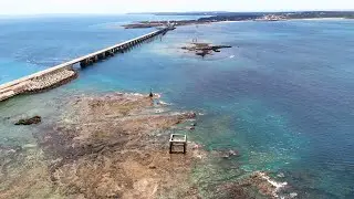 Ocean Hugs：澎湖珊瑚復育篇