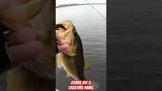 The Ozark Rig!
