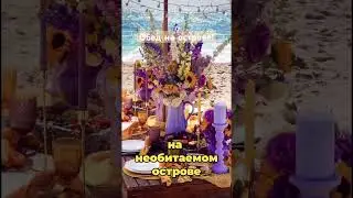 Обед на острове! 89172956360 