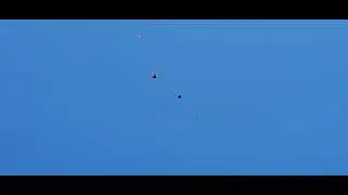 12 мая 2022 г.