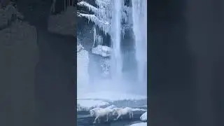 Witness the mighty beauty of Skógafoss, where nature's power takes center stage.