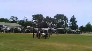 Cannon