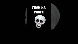 🔥 ГНОМ НА РИНГЕ