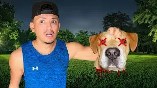 Who would do THIS to my Dog?!