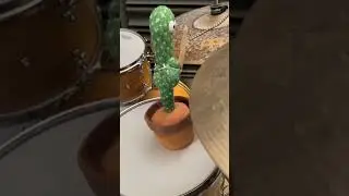 Mr. Cactus, my new drum teacher #drums #funny