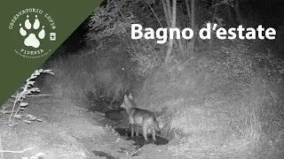 Bagno d'estate