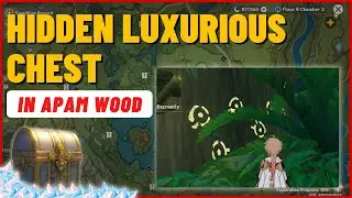Hidden Luxurious Chest in Apam Wood Sumeru - Fastest Route | Genshin Impact