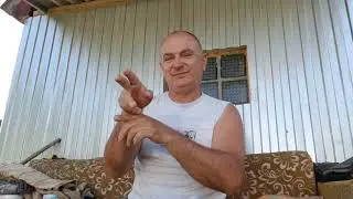 Огород и разные темы. #ржя #deaf