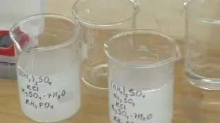 TALLER DE BIOLIXIVIACIÓN N°11