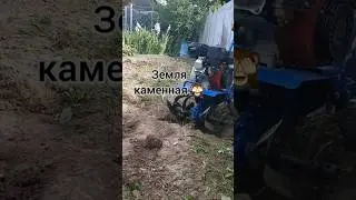 #дача