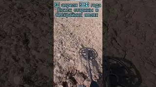 Что только не найдешь в полях #garrett #metaldetecting #коп #металлоискатель #кладоискатель #клад
