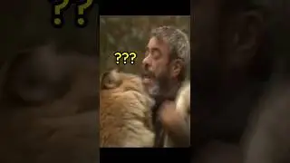 늑대에게 목을 물렸을 때 대처법