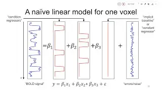 Statistical Analysis of fMRI Data: The General Linear Model (Neuroimaging Lecture, SS 2024)