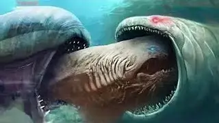 Evolution of BLOOP / Evolution Now