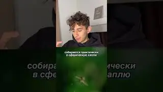 Почему комары не умирают в дождь? 