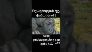 🐒