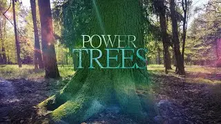 Breathe with the Trees - Powerful Connection - Sagittarius Full Moon :: Shaman Drum :: Grounding ::