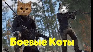 Боевые коты /Раст/Rust