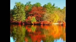 🌻Пастернак,Спиваков,Манчини и осень24