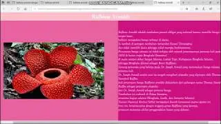 Membuat Website 2 Kolom dengan Sublime Text