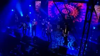 UDG - Anima ( DVD Cirkus Live 2010 )