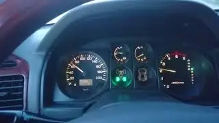 Готовый бегемот. Покатушки.
