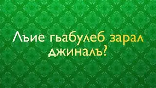 Лъие гьабулеб зарал джиналъ?