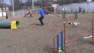 кнопа