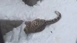 Уиии :3